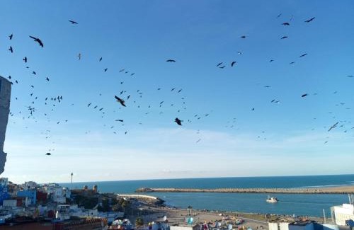 Larache House | Maison Sevilla