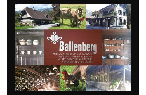 Hofstetten bei Brienz Apartment | Maisonette 4.5 Zimmer, Nähe Ballenberg