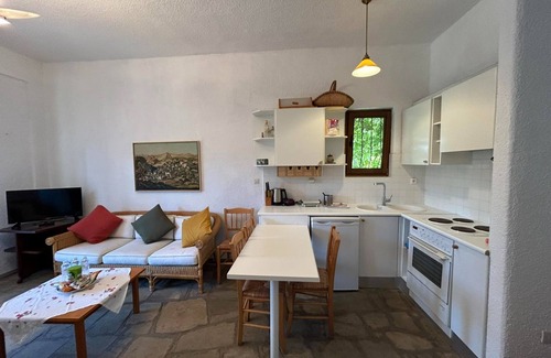Siviri House | Maisonette with garden under the Elani pines