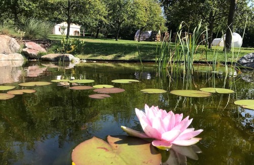 Cambremer House | Maisons d'hôtes - Domaine Le Coq Enchanté