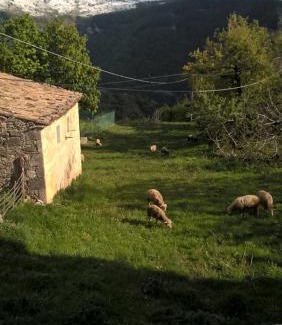Caramanico Terme Apartment | Majellame