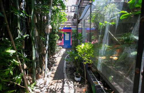 Cholula Apartment | Majikal B&B - Frida