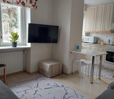 Ylivieska Apartment | MajoitusHakala