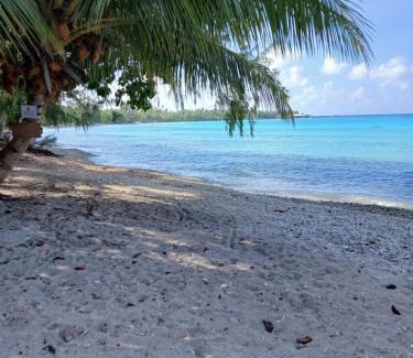 Rangiroa Apartment | Makalii lodge