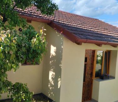 Svinarov Apartment | Malé útulné studio s koupelnou a kuchyňkou