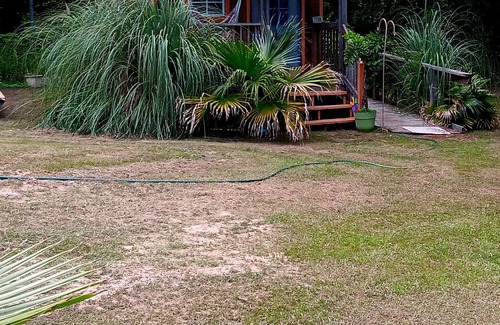 Florida Panhandle Cabin | Malakai campground different by design⛺ little jo cabin wheelchair accessible