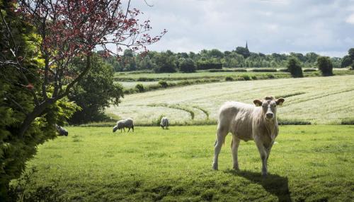 Aldfield Bed & Breakfast | Mallard Grange B&B