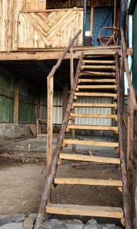 Nakuru Resort | Mambo Game View