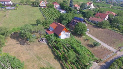 Badacsony Apartment | Mandula Apartmanok