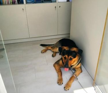 Lakones Apartment | Manganas Studios