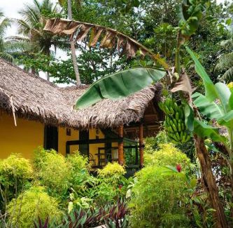 Namatakula Resort | Mango Bay Resort