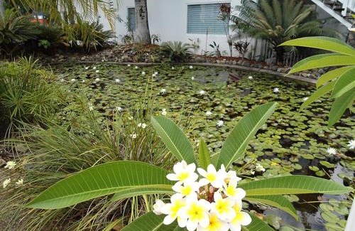 Jubilee Pocket Resort | Mango House Resort