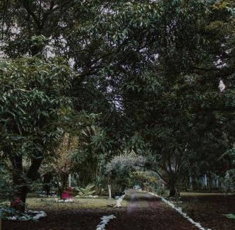 Actopan Municipality House | Mango Selva Bio Hotel