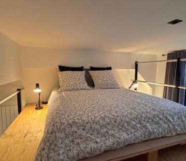 Troyes Apartment | Manhattan Loft - centre - 5 mn à pied gare - parking privé - patio