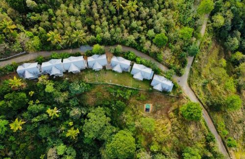 Kunchithanny Apartment | Mannoor Farms Mountain View Stays, Munnar