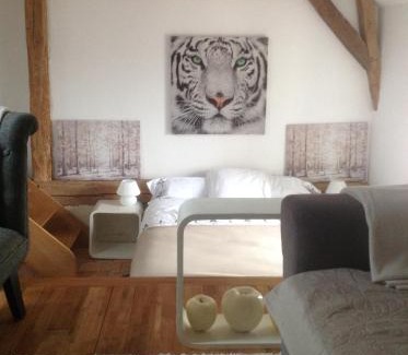Le Coudray-Macouard Bed & Breakfast | Manoir de Boisairault