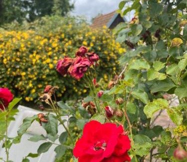 Saint-Philbert-des-Champs House | Manoir La Tasserie