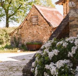 Jumilhac-le-Grand Villa | Manoir La Force avec piscine et spa