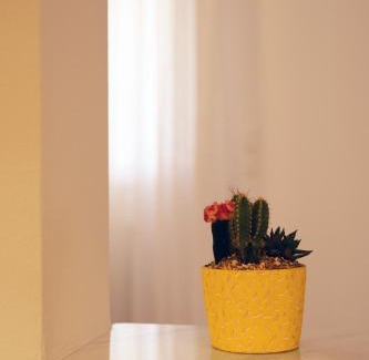 Kropia Apartment | Manolia house near beach