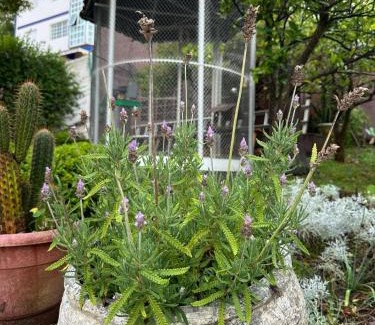 Sao Roque House | Mansão Casa Blanca em São Roque c/5 vagas garagem