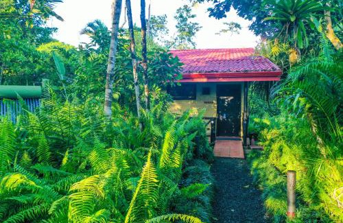 Chilamate Cabin | Maquenque Ecolodge