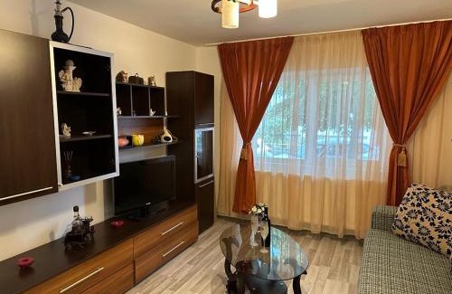 Fagaras Apartment | Mara