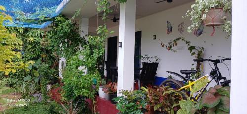 Mararikulam House | Marari Beach Way Inn