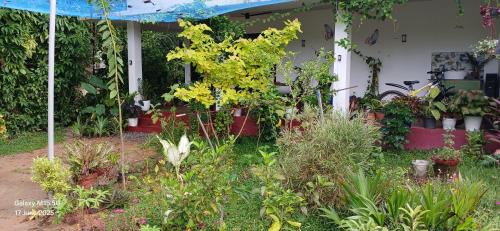 Mararikulam House | Marari Beach Way Inn