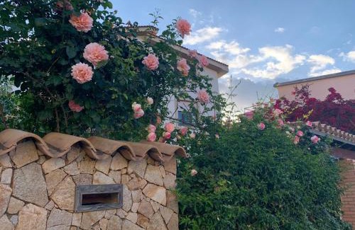 Dolianova House | Marco's house