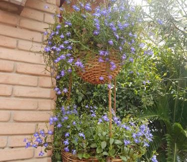 Dolianova House | Marco's house