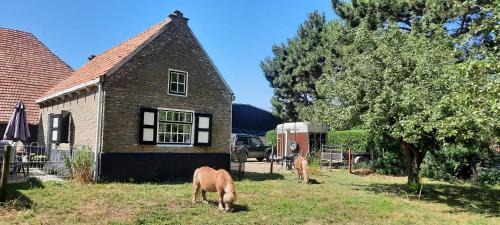 Rilland House | Mariahoeve