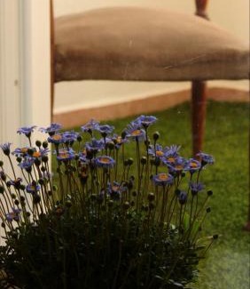 Modugno Apartment | Mariluna