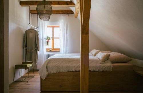 Pavlov Bed & Breakfast | Marináda Viniční dům