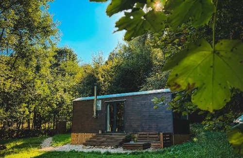 Cervena Voda House | Maringotka V mechu a kapradí s koupacím čanem