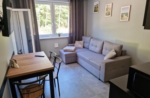 Debina Apartment | Mario Leśny Klif 1