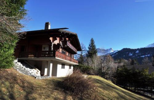 Barboleusaz Ski Chalet | Marlène