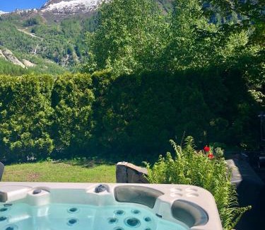 Argentiere Cabin | Marmotte Mountain Manor