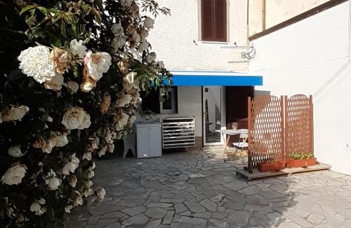 Montignoso House | MaRosa