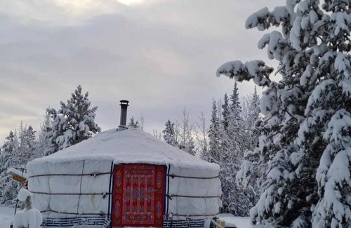 Yukon Apartment | Marshian Yurt