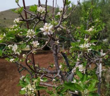 Kounelion House | Martha's Home in Fourni Village Crete