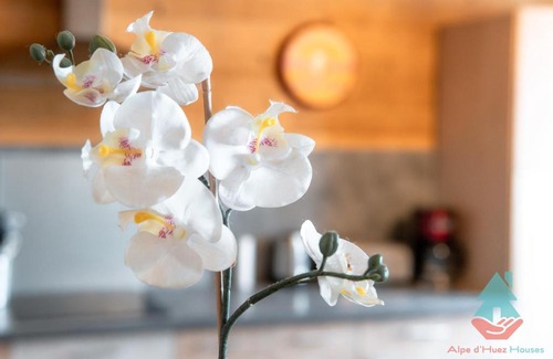 Bergers Apartment | Martine, Eterlous