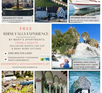 Schaffhausen Apartment | MARYS family friendly Apartments,VISIT RHINE FALLS for FREE if you stay 2 nights, SOHO 95m2 2-Bedrooms 2nd floor & SOUTH BEACH 105m2 3-Bedrooms & LOFT 115m2 3-Bedrooms Suite with Galerie,LOFT Netz 20m2, Pinball, Schaffhausen-Hemmental, Rheinfall 10 km