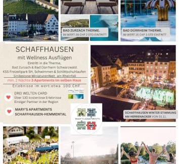 Schaffhausen Apartment | MARYS family friendly Apartments,VISIT RHINE FALLS for FREE if you stay 2 nights, SOHO 95m2 2-Bedrooms 2nd floor & SOUTH BEACH 105m2 3-Bedrooms & LOFT 115m2 3-Bedrooms Suite with Galerie,LOFT Netz 20m2, Pinball, Schaffhausen-Hemmental, Rheinfall 10 km
