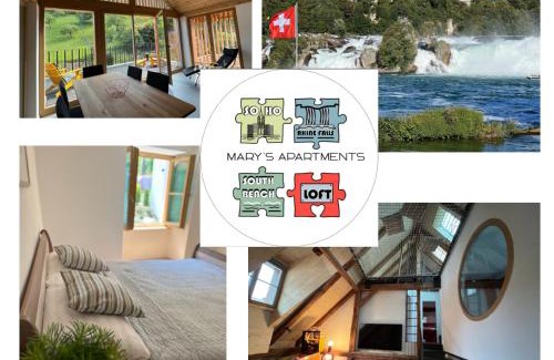 Schaffhausen Apartment | MARYS family friendly Apartments,VISIT RHINE FALLS for FREE if you stay 2 nights, SOHO 95m2 2-Bedrooms 2nd floor & SOUTH BEACH 105m2 3-Bedrooms & LOFT 115m2 3-Bedrooms Suite with Galerie,LOFT Netz 20m2, Pinball, Schaffhausen-Hemmental, Rheinfall 10 km
