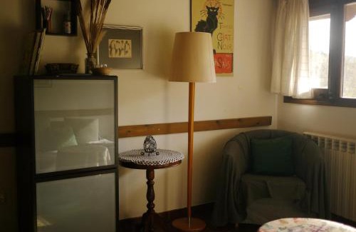 Sant Feliu de Pallerols Apartment | Mas Franch