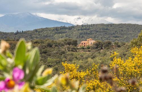 Oms Bed & Breakfast | Mas la Marchette