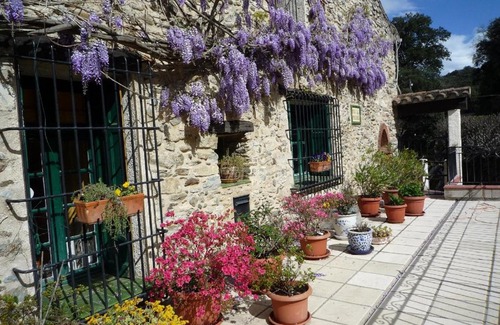 Reynes Apartment | Mas Pallares