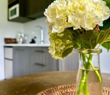 Matamata House | Matamata Country B&B