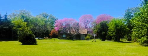 Chascomus House | Matilda