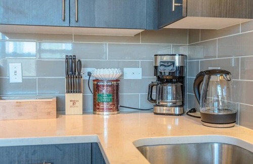 Near South Side Apartment | McCormick Place Skyline view 2b/2b unit with optional parking for up to 8 guests
